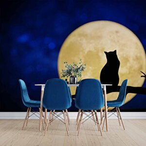 Kedi Ve Ay Temalı Duvar Kağıdı Baskı - Dkm625021