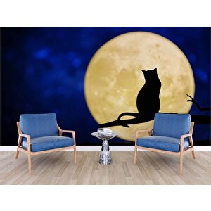 Kedi Ve Ay Temalı Duvar Kağıdı Baskı - Dkm625021