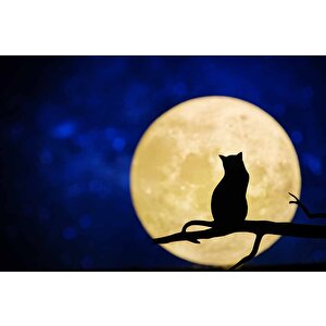 Kedi Ve Ay Temalı Duvar Kağıdı Baskı - Dkm625021