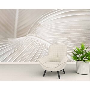 3 Boyutlu Beyaz Tüy Desenli Duvar Kağıdı - Dkm739046