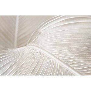3 Boyutlu Beyaz Tüy Desenli Duvar Kağıdı - Dkm739046
