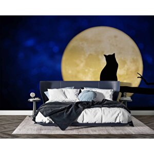 Kedi Ve Ay Temalı Duvar Kağıdı Baskı - Dkm625047 225x260 cm