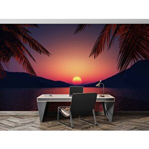 Günbatımı Deniz Ve Palmiye Manzaralı Duvar Kağıdı - Dkm757023
