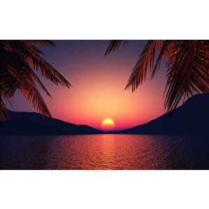Günbatımı Deniz Ve Palmiye Manzaralı Duvar Kağıdı - Dkm757005
