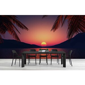Günbatımı Deniz Ve Palmiye Manzaralı Duvar Kağıdı - Dkm757041