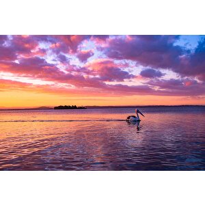 Mor Romantik Gece Deniz Kenarı Flamingo Temalı Duvar Kağıdı Baskı - Dkm607115