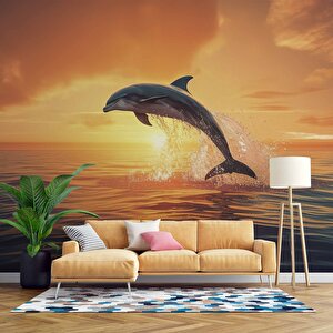 Gün Batımı Ve Yunus Balığı Temalı Duvar Kağıdı - Dkm665028 275x240 cm