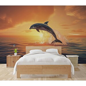 Gün Batımı Ve Yunus Balığı Temalı Duvar Kağıdı - Dkm665105 800x300 cm