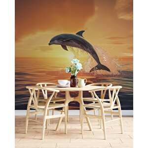 Gün Batımı Ve Yunus Balığı Temalı Duvar Kağıdı - Dkm665068