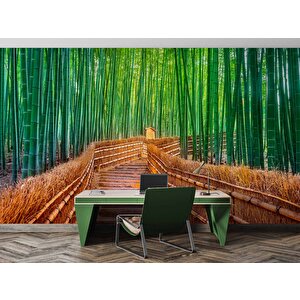 Bambu Ormanı Manzaralı Duvar Kağıdı - Dkm715122