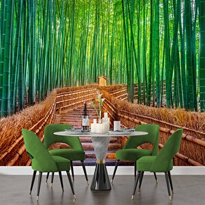 Bambu Ormanı Manzaralı Duvar Kağıdı - Dkm715122