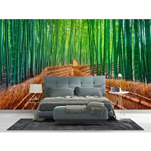 Bambu Ormanı Manzaralı Duvar Kağıdı - Dkm715100 500x300 cm
