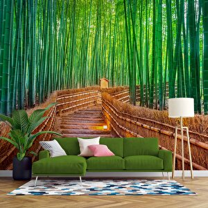 Bambu Ormanı Manzaralı Duvar Kağıdı - Dkm715001 100x100 cm