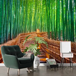 Bambu Ormanı Manzaralı Duvar Kağıdı - Dkm715001