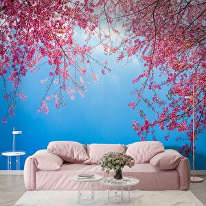 İlkbahar Gökyüzü Ve Pembe Çiçek Manzaları Duvar Kağıdı - Dkm751103 600x300 cm