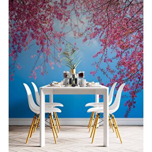 İlkbahar Gökyüzü Ve Pembe Çiçek Manzaları Duvar Kağıdı - Dkm751004