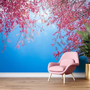 İlkbahar Gökyüzü Ve Pembe Çiçek Manzaları Duvar Kağıdı - Dkm751004