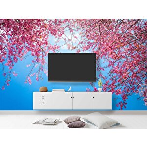 İlkbahar Gökyüzü Ve Pembe Çiçek Manzaları Duvar Kağıdı - Dkm751086 100x300 cm