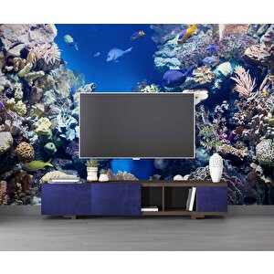 Denizaltı Mercan Manzaralı Duvar Kağıdı - Dkm841001 100x100 cm