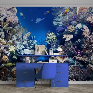 Denizaltı Mercan Manzaralı Duvar Kağıdı - Dkm841103