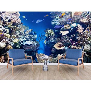 Denizaltı Mercan Manzaralı Duvar Kağıdı - Dkm841103