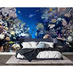 Denizaltı Mercan Manzaralı Duvar Kağıdı - Dkm841126 800x315 cm