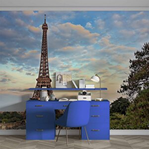 Fransa Paris Eyfel Kulesi Manzarası Duvar Kağıdı Baskı - Dkm458062
