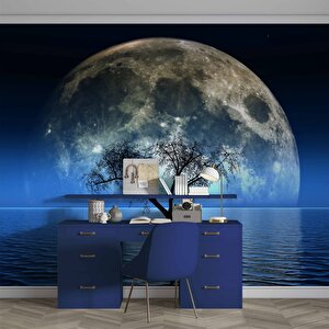 Ağaç Süliyeti Ve Ay Manzaralı Duvar Kağıdı Baskı - Dkm529026