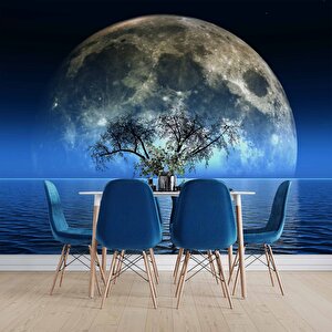 Ağaç Süliyeti Ve Ay Manzaralı Duvar Kağıdı Baskı - Dkm529026
