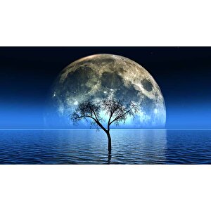 Ağaç Süliyeti Ve Ay Manzaralı Duvar Kağıdı Baskı - Dkm529026