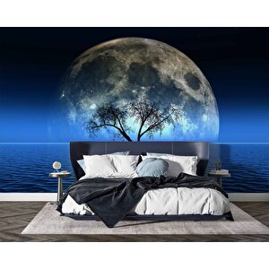 Ağaç Süliyeti Ve Ay Manzaralı Duvar Kağıdı Baskı - Dkm529068 225x280 cm