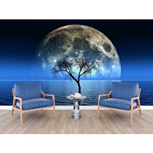 Ağaç Süliyeti Ve Ay Manzaralı Duvar Kağıdı Baskı - Dkm529007
