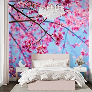 Gökyüzü Ve Pembe Çiçekli Ağaç Manzaralı Duvar Kağıdı - Dkm707039 550x240 cm