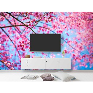 Gökyüzü Ve Pembe Çiçekli Ağaç Manzaralı Duvar Kağıdı - Dkm707039 550x240 cm