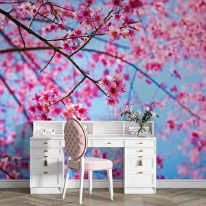 Gökyüzü Ve Pembe Çiçekli Ağaç Manzaralı Duvar Kağıdı - Dkm707060