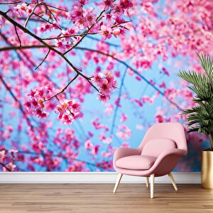 Gökyüzü Ve Pembe Çiçekli Ağaç Manzaralı Duvar Kağıdı - Dkm707060
