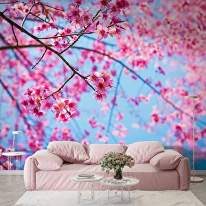 Gökyüzü Ve Pembe Çiçekli Ağaç Manzaralı Duvar Kağıdı - Dkm707065 100x280 cm