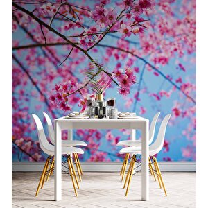 Gökyüzü Ve Pembe Çiçekli Ağaç Manzaralı Duvar Kağıdı - Dkm707001