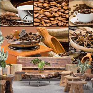 Fincanda Kahve Çekirdeği Temalı Cafe Duvar Kağıdı Baskı - Dkm268103 600x300 cm