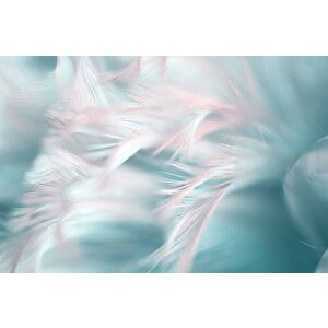 Pembe Mavi Tüy Temalı Duvar Kağıdı - Copydkm591104