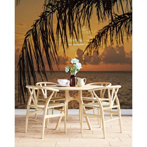 Gün Batımı Ve Palmiye Dal Manzaralı Duvar Kağıdı - Dkm928112