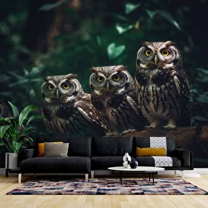 Orman Ve Baykuş Manzaralı Duvar Kağıdı - Dkm866021 800x200 cm