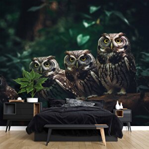 Orman Ve Baykuş Manzaralı Duvar Kağıdı - Dkm866021 800x200 cm
