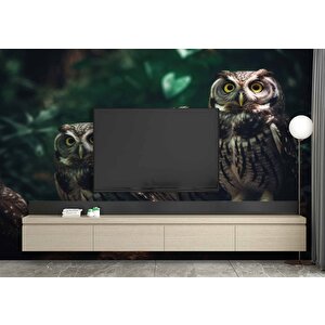 Orman Ve Baykuş Manzaralı Duvar Kağıdı - Dkm866021 800x200 cm