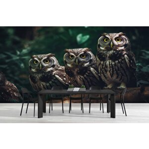 Orman Ve Baykuş Manzaralı Duvar Kağıdı - Dkm866055