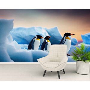 Kutuplar Ve Penguen Manzaralı Duvar Kağıdı - Dkm869109