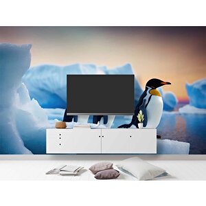 Kutuplar Ve Penguen Manzaralı Duvar Kağıdı - Dkm869059 525x260 cm