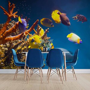 Denizaltı Sarı Japon Balığı Manzaralı Duvar Kağıdı - Dkm851025