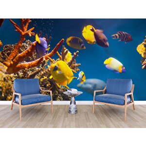 Denizaltı Sarı Japon Balığı Manzaralı Duvar Kağıdı - Dkm851025