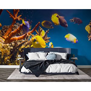 Denizaltı Sarı Japon Balığı Manzaralı Duvar Kağıdı - Dkm851010 350x200 cm
